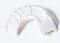 160 Pcs Paper Floss Bobbins for Embroidery Floss Organizer, Cross-Stitch Bobbins Card Thread Holder,Wrap and Store Floss,Craft DIY Sewing Storage,with free set of 6 needles and 1 threader(WHITE)